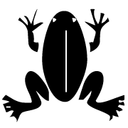 Frog 1 Small